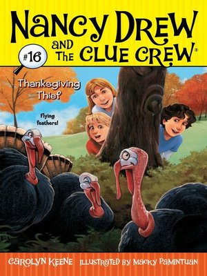 cover image of Thanksgiving Thief